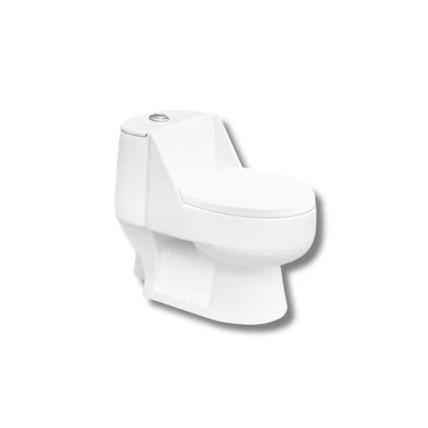 One Piece WC-Dell Plus