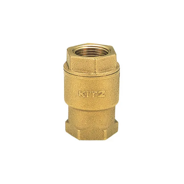Check Valve (Lift Type)