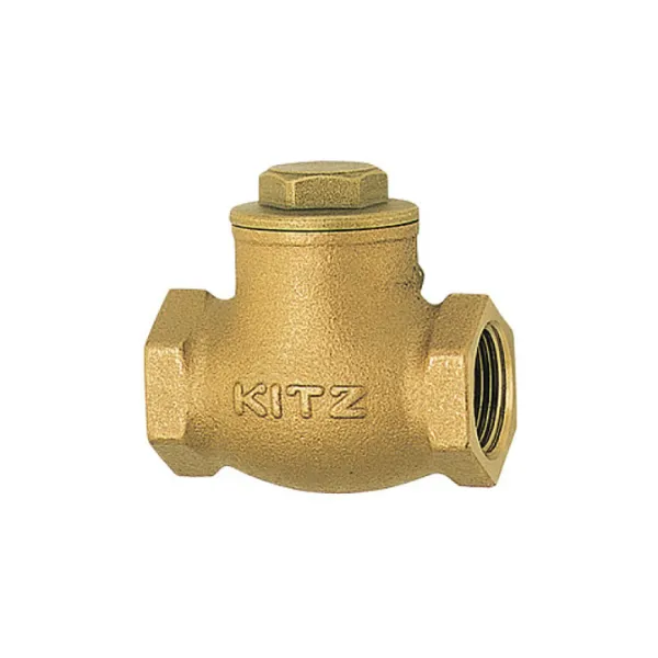 Check Valve (Swing Type)